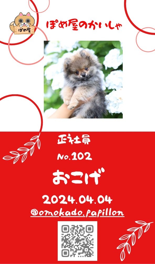ポメちゃんページ 社員紹介 :: ぽめ屋