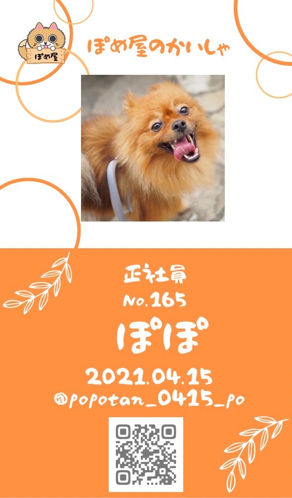 社員紹介 :: ぽめ屋