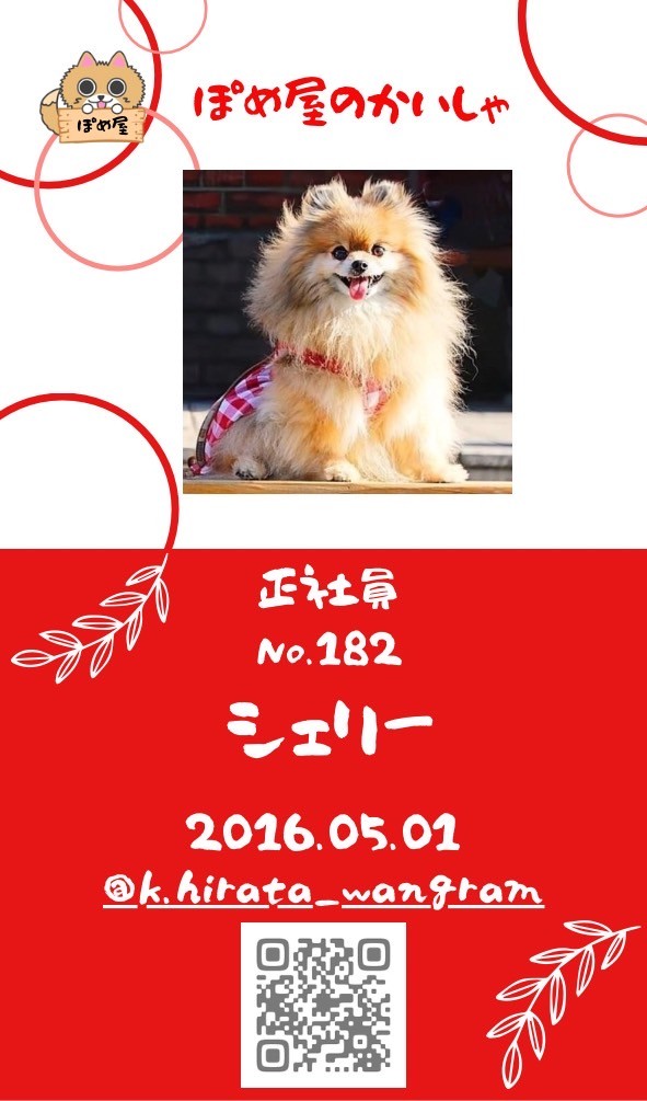 社員紹介 :: ぽめ屋